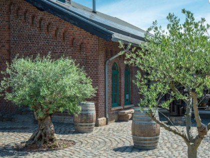 Foto: Hopmanns Olive